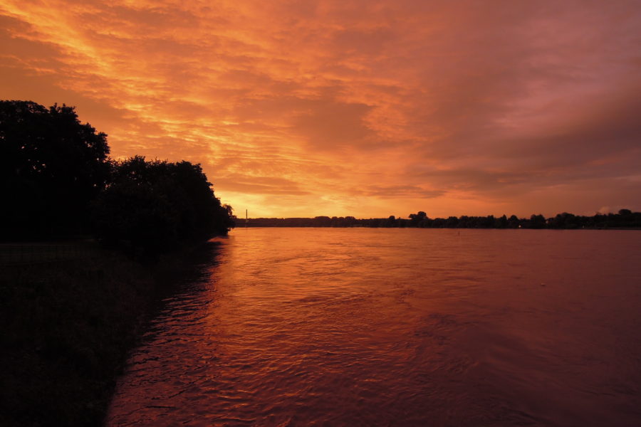 Sonnenuntergang am Rhein im Bonner Norden