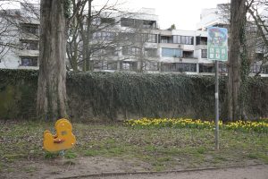 Bild eines Spielgerätes am Rhein